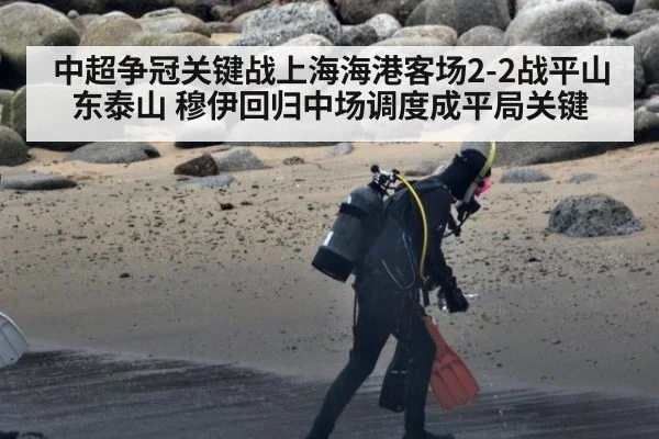 中超争冠关键战上海海港客场2-2战平山东泰山 穆伊回归中场调度成平局关键